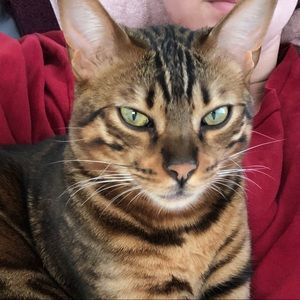 Meet your Posher, Paulina